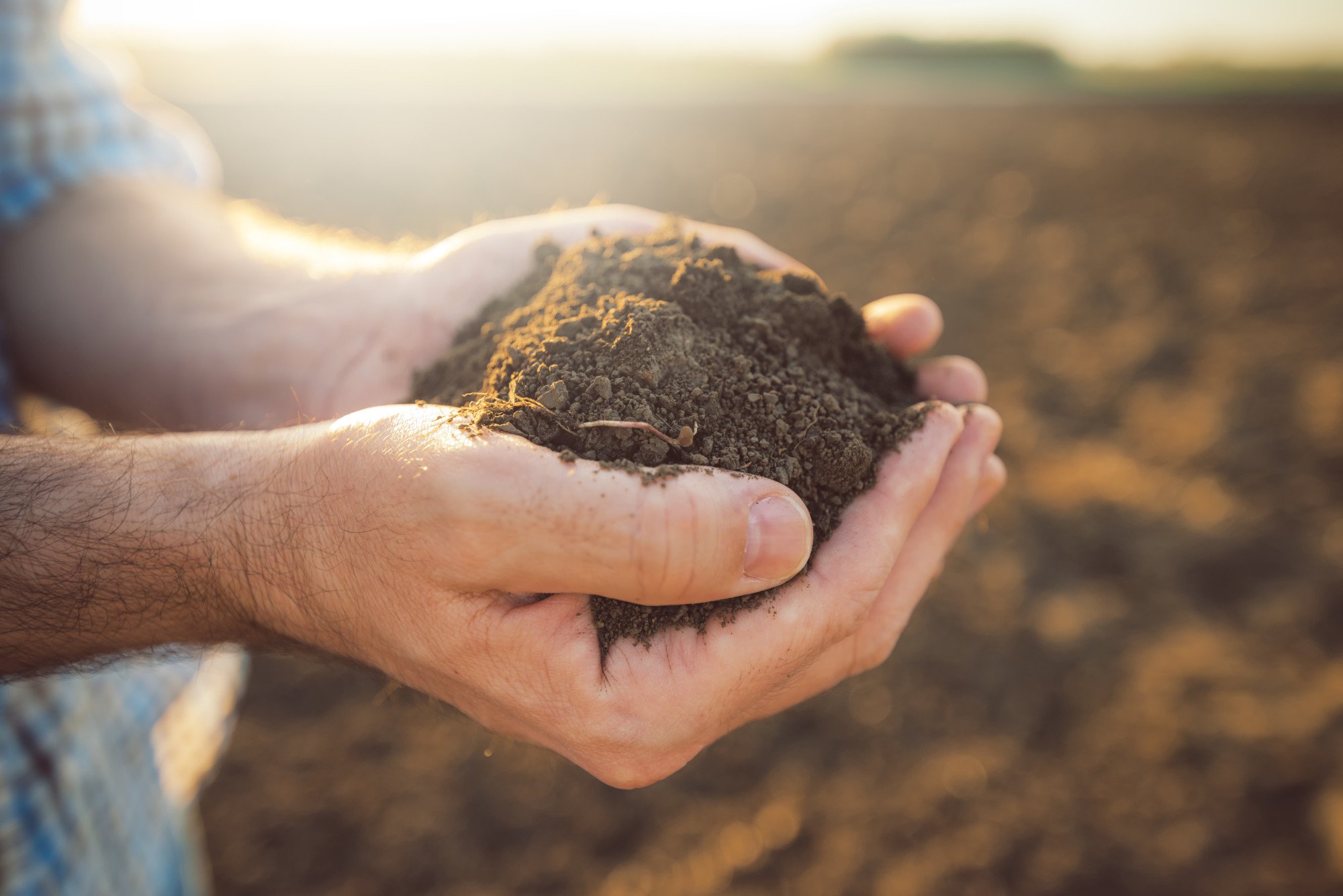 understanding-a-soil-report-and-where-to-get-one-blog-peforhire